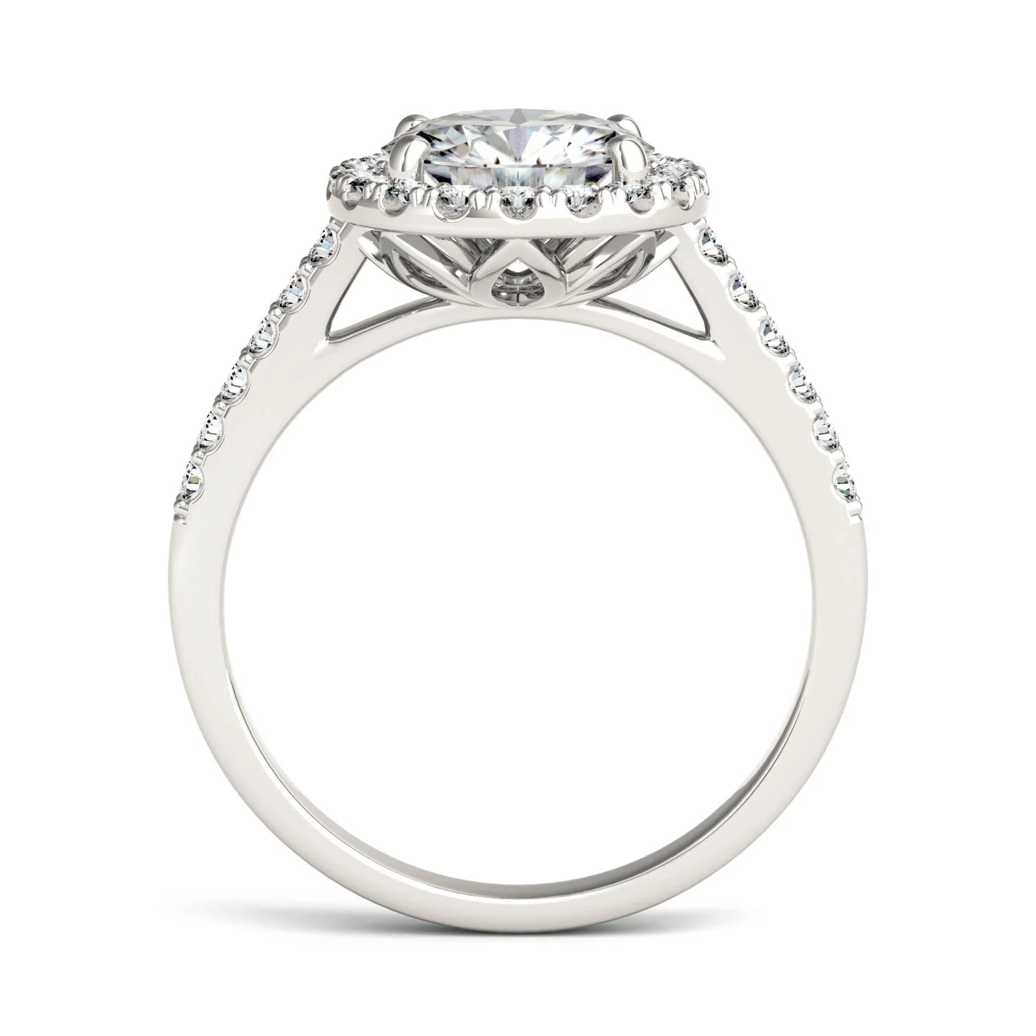 2.35 CTW DEW Round Moissanite Halo Ring in 14K White Gold - Image 3